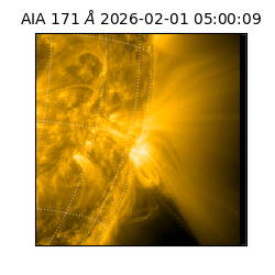 saia - 2026-02-01T05:00:09.350000