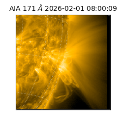 saia - 2026-02-01T08:00:09.342000