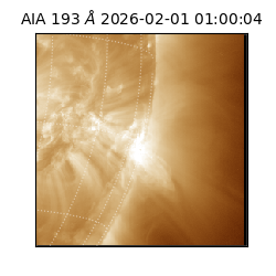 saia - 2026-02-01T01:00:04.843000