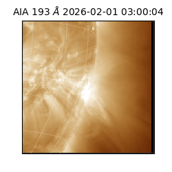 saia - 2026-02-01T03:00:04.843000