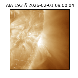 saia - 2026-02-01T09:00:04.843000