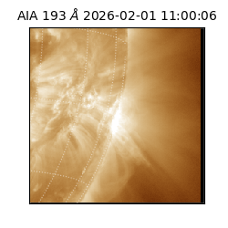 saia - 2026-02-01T11:00:06.614000