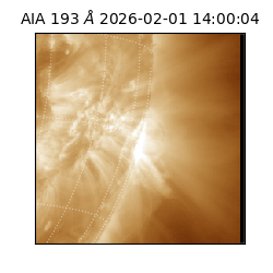 saia - 2026-02-01T14:00:04.843000