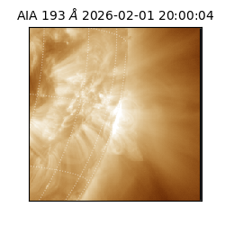 saia - 2026-02-01T20:00:04.843000