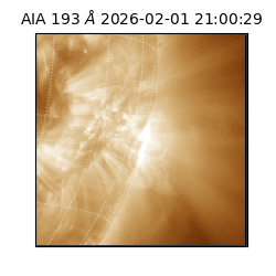 saia - 2026-02-01T21:00:29.627000