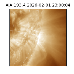 saia - 2026-02-01T23:00:04.843000