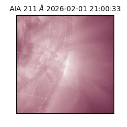 saia - 2026-02-01T21:00:33.622000