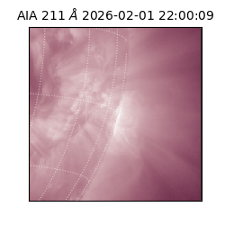 saia - 2026-02-01T22:00:09.625000