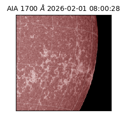 saia - 2026-02-01T08:00:28.710000