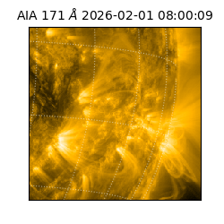 saia - 2026-02-01T08:00:09.342000