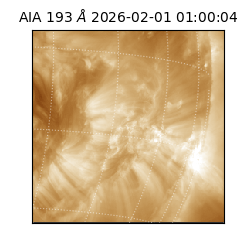 saia - 2026-02-01T01:00:04.843000