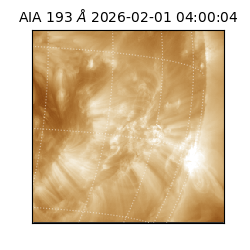 saia - 2026-02-01T04:00:04.843000