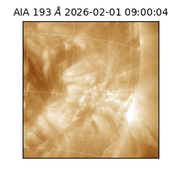 saia - 2026-02-01T09:00:04.843000