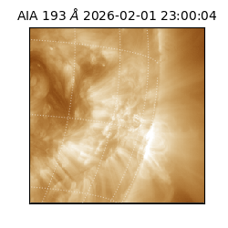 saia - 2026-02-01T23:00:04.843000