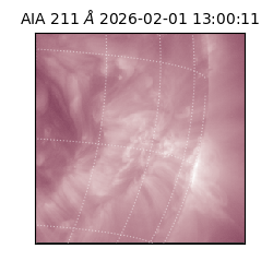 saia - 2026-02-01T13:00:11.615000