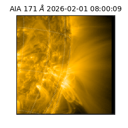 saia - 2026-02-01T08:00:09.342000