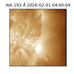 saia - 2026-02-01T04:00:04.843000