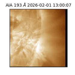 saia - 2026-02-01T13:00:07.367000