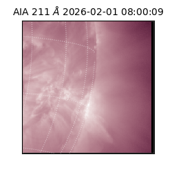 saia - 2026-02-01T08:00:09.618000