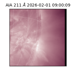 saia - 2026-02-01T09:00:09.626000