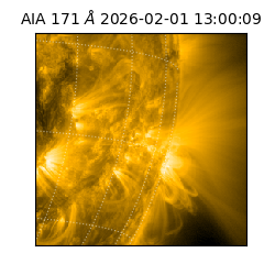 saia - 2026-02-01T13:00:09.353000