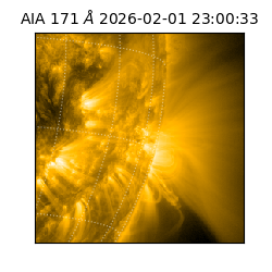 saia - 2026-02-01T23:00:33.349000