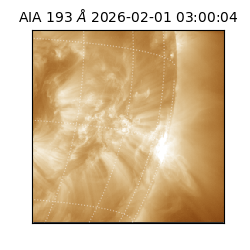 saia - 2026-02-01T03:00:04.843000