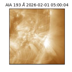 saia - 2026-02-01T05:00:04.843000