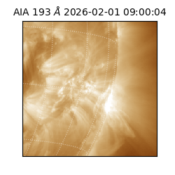 saia - 2026-02-01T09:00:04.843000