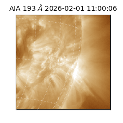 saia - 2026-02-01T11:00:06.614000