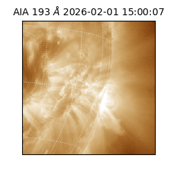 saia - 2026-02-01T15:00:07.045000