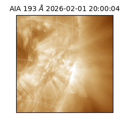 saia - 2026-02-01T20:00:04.843000