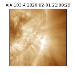 saia - 2026-02-01T21:00:29.627000