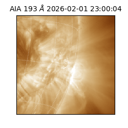 saia - 2026-02-01T23:00:04.843000