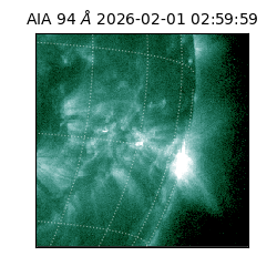 saia - 2026-02-01T02:59:59.131000