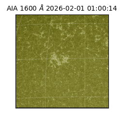 saia - 2026-02-01T01:00:14.134000