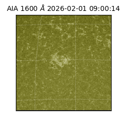 saia - 2026-02-01T09:00:14.130000