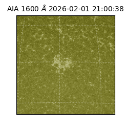 saia - 2026-02-01T21:00:38.129000