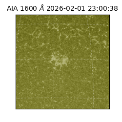 saia - 2026-02-01T23:00:38.126000