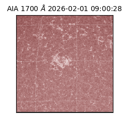 saia - 2026-02-01T09:00:28.717000