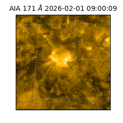 saia - 2026-02-01T09:00:09.349000