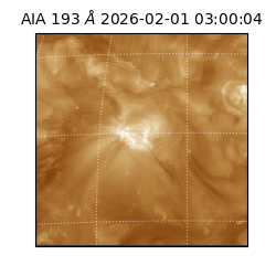 saia - 2026-02-01T03:00:04.843000