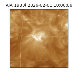 saia - 2026-02-01T10:00:06.939000