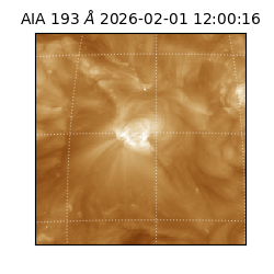 saia - 2026-02-01T12:00:16.835000