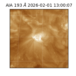 saia - 2026-02-01T13:00:07.367000