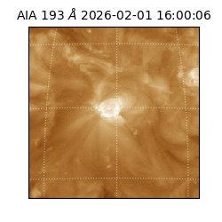 saia - 2026-02-01T16:00:06.780000