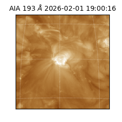 saia - 2026-02-01T19:00:16.843000