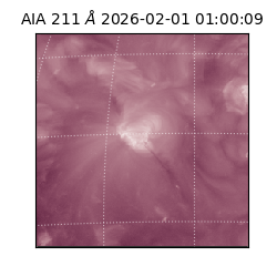 saia - 2026-02-01T01:00:09.624000