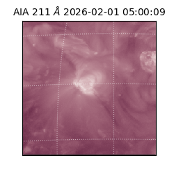 saia - 2026-02-01T05:00:09.630000