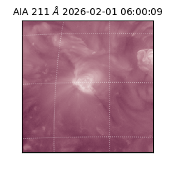 saia - 2026-02-01T06:00:09.623000